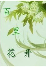 百里花开封面