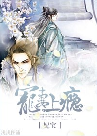 宠妻上瘾封面