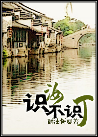 识汝不识丁封面