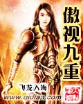 傲视九重封面