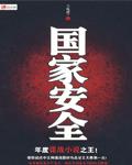 国家安全封面