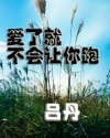 爱了就不会让你跑封面