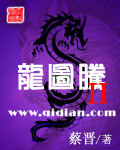 龙图腾ii封面
