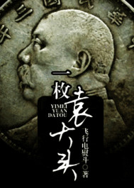 一枚袁大头封面