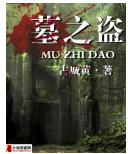 墓之盗封面
