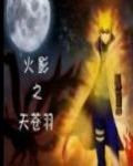 火影之天蒼羽 火影之天蒼羽
