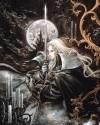 综漫--恶魔城 综漫--恶魔城
