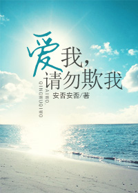 爱我,请勿欺我封面