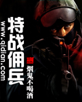 特战佣兵封面