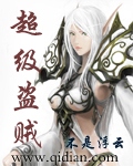 超级盗贼封面