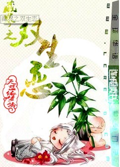 藏界之双生恋封面