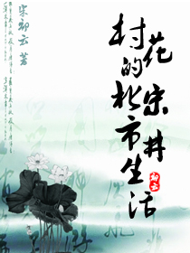 村花的北宋市井生活封面