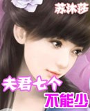 夫君七个不能少封面