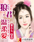 狼君,温柔爱封面