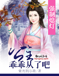 强制熄灯,公主乖乖从了吧封面