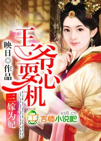 三嫁为妃,王爷耍心机封面