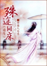 殊途同床封面