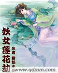 妖女莲花劫封面