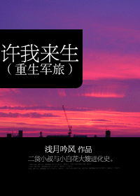 许我来生(重生军旅)封面