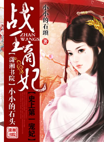 战王商妃封面