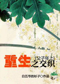 重生之交织封面