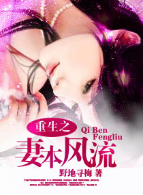 重生之妻本风流封面