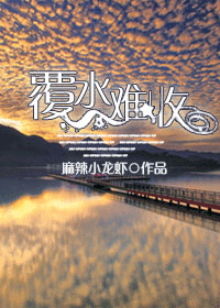 覆水难收封面