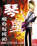 琴皇 琴皇
