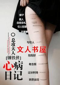 [钢铁侠]心病日记封面