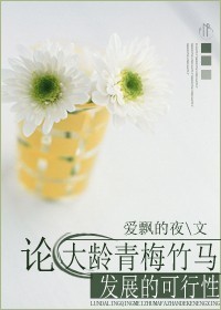 论大龄青梅竹马发展的可行性封面