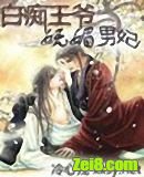 白痴王爷与妖媚男妃封面