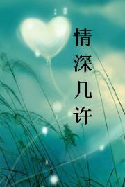 情深几许封面