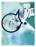 银狐 银狐