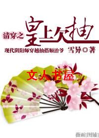 清穿之皇上欠抽封面