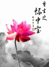 重生之怀中宝封面