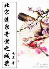 北宋·清泉奇案之城禁封面