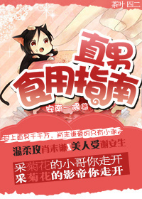 直男食用指南封面
